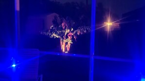 Une vue à travers une fenêtre, avec une source de lumière bleue à gauche et une source de lumière vive à droite.