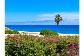 Vlak bij het strand, strandlakens