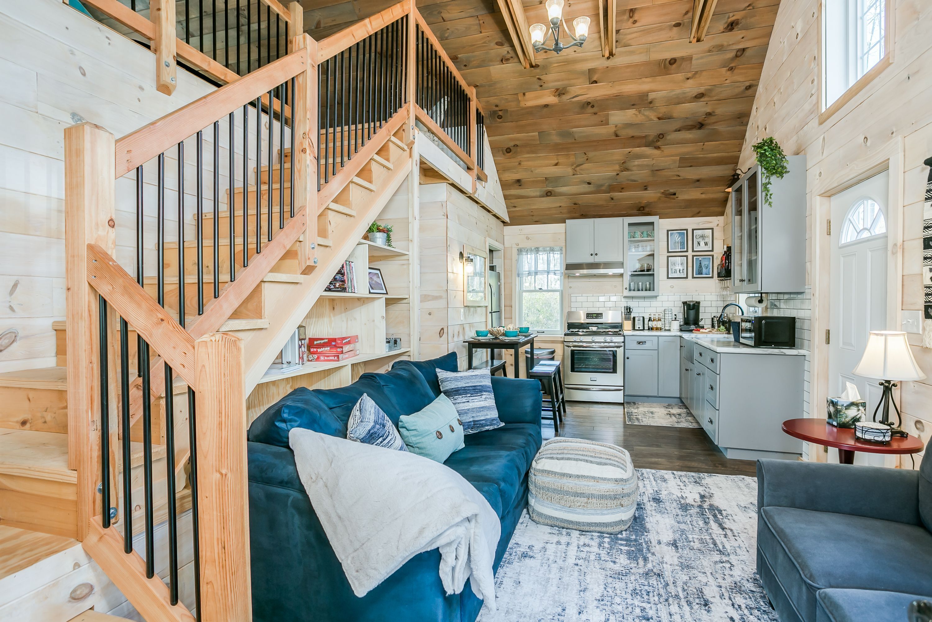 智能电视、壁炉、Netflix、DVD 播放器