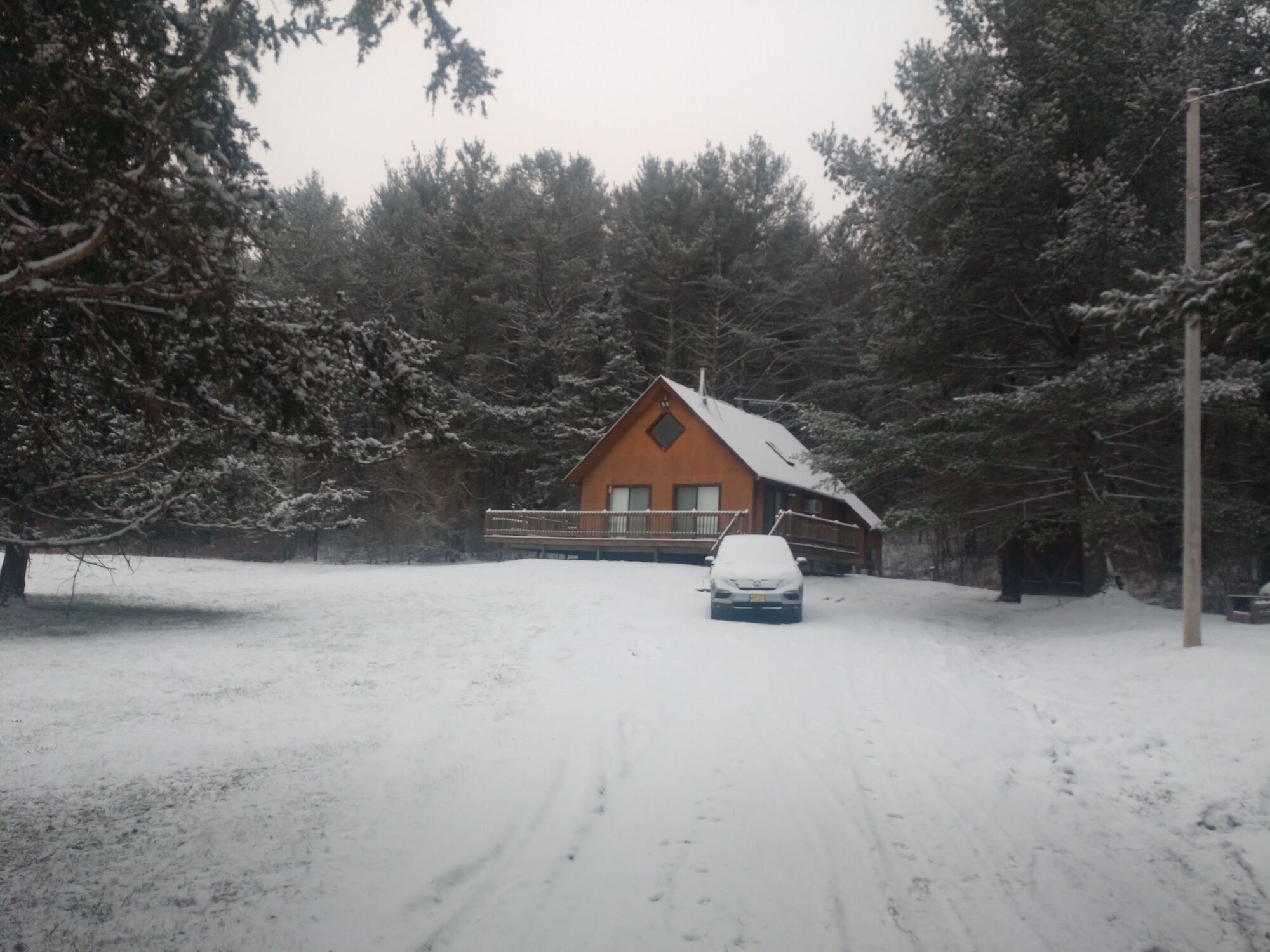 Pine Tree Lane Chalet