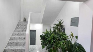 A staircase with marble steps leading to a door, a potted plant, and a light switch on the wall.