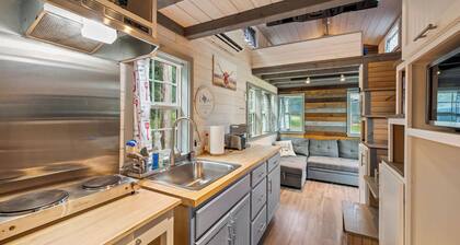 4 Tiny Town Modern Tiny Home Animals Fire Pit