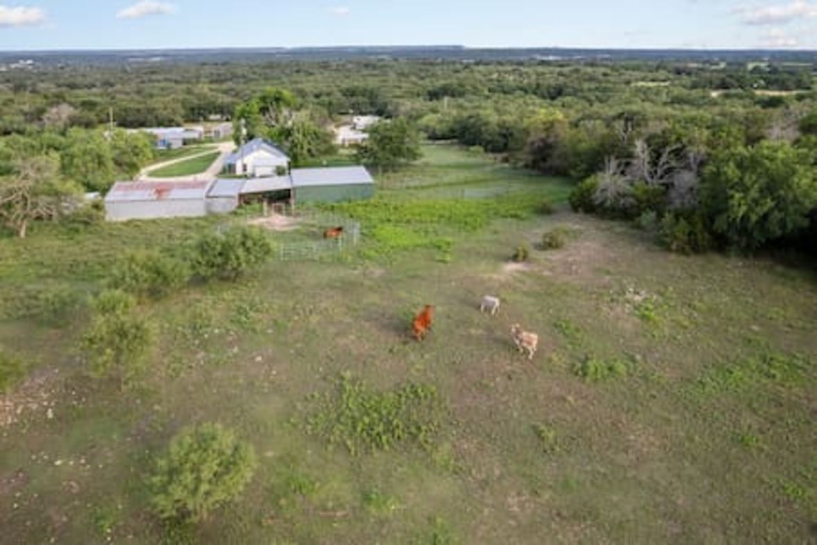 A rural landscape with a barn, open fields, and grazing animals.