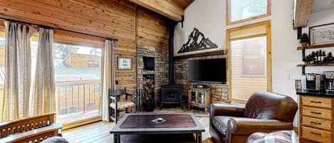 TV, fireplace, DVD player, books