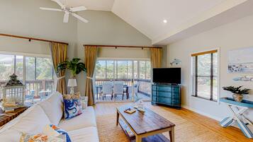 电视、DVD 播放器