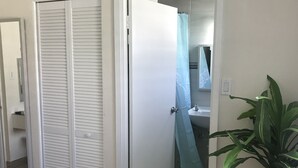 Une chambre à coucher avec un lit, une armoire, une salle de bain avec un rideau de douche et une plante en pot.