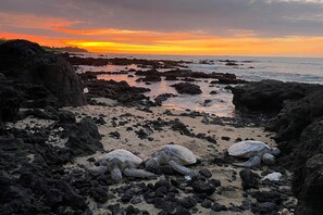 Nær stranden