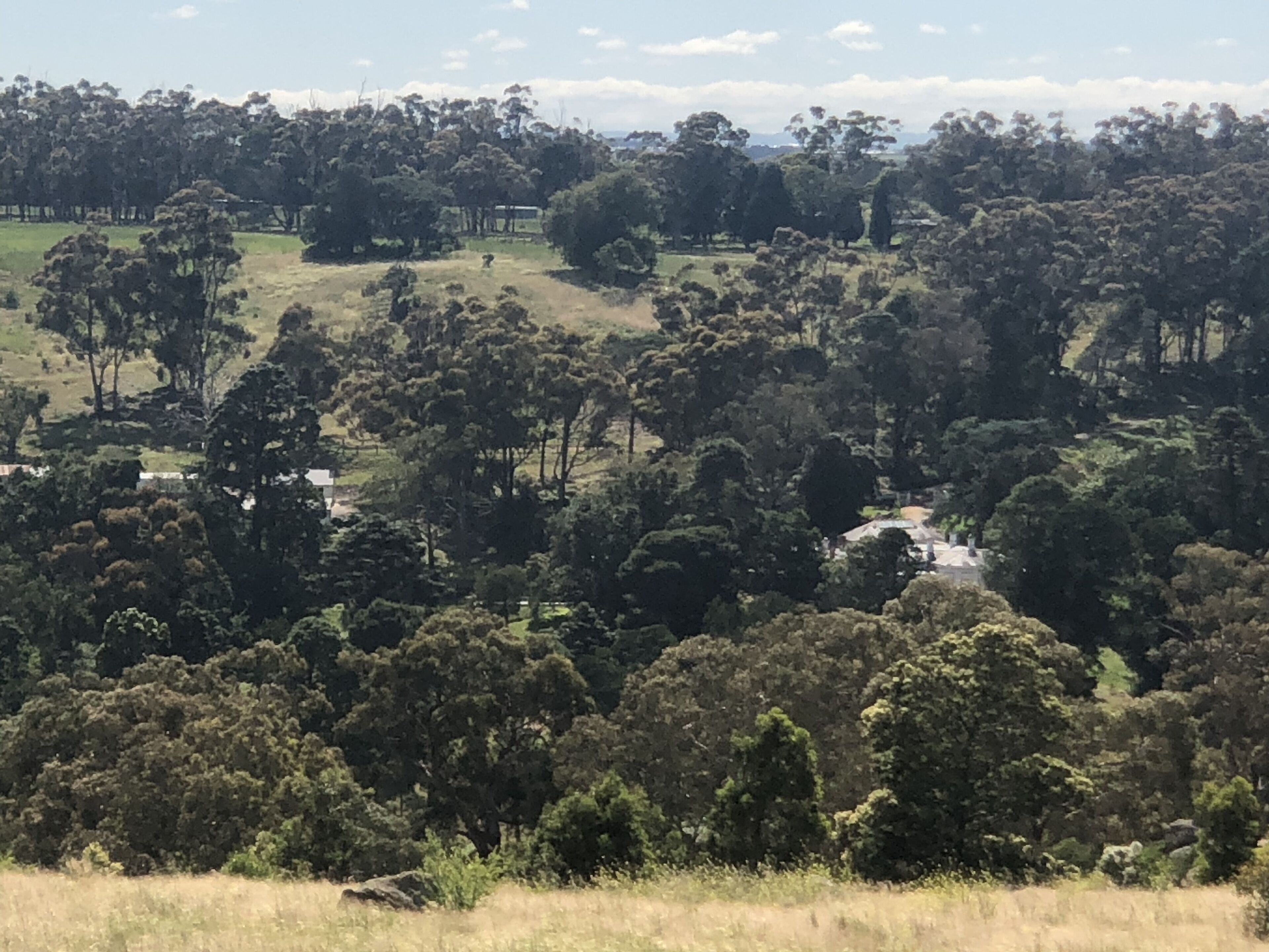 Country style by the cbd — image 14