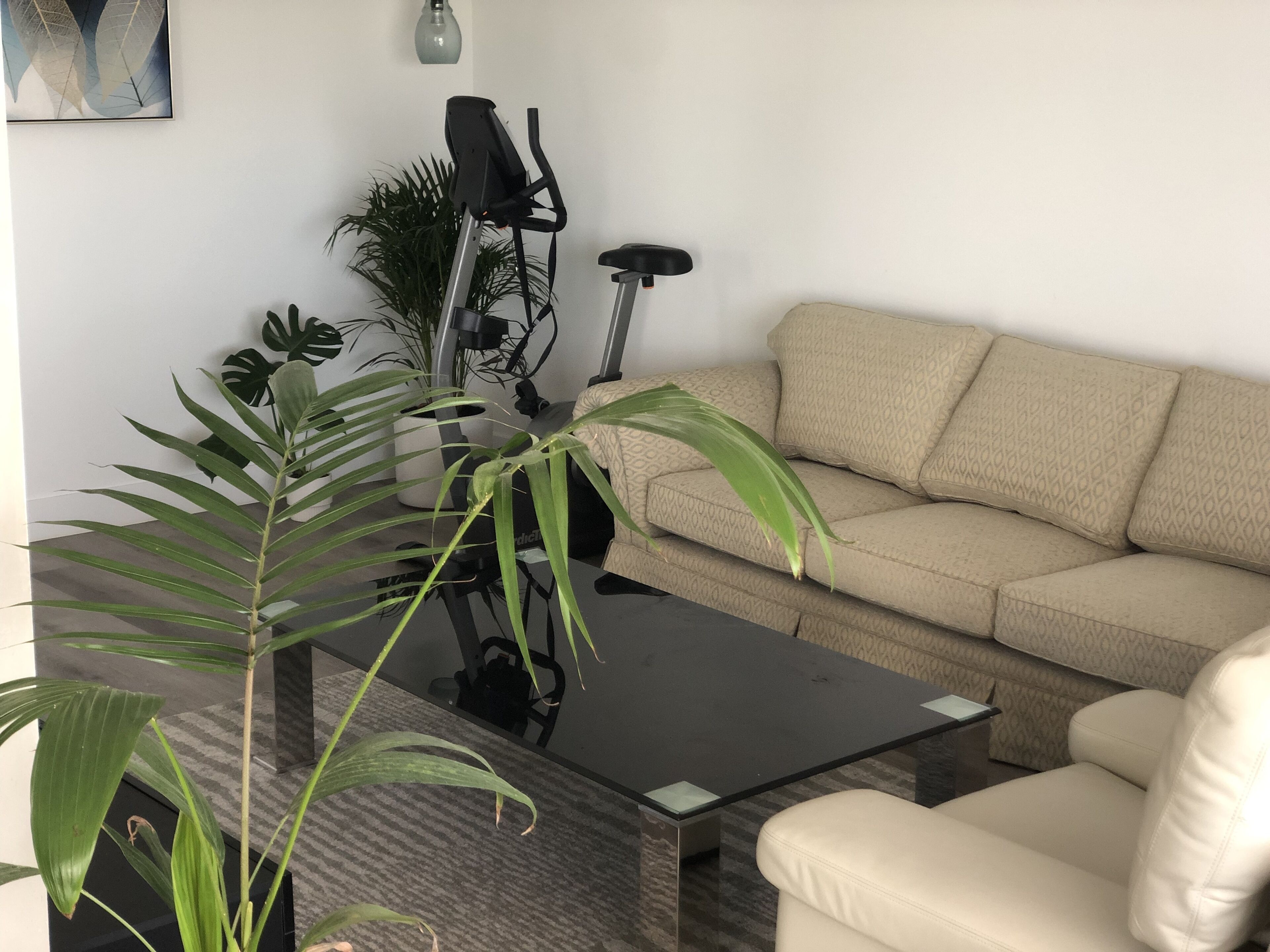 Country style by the cbd — image 6