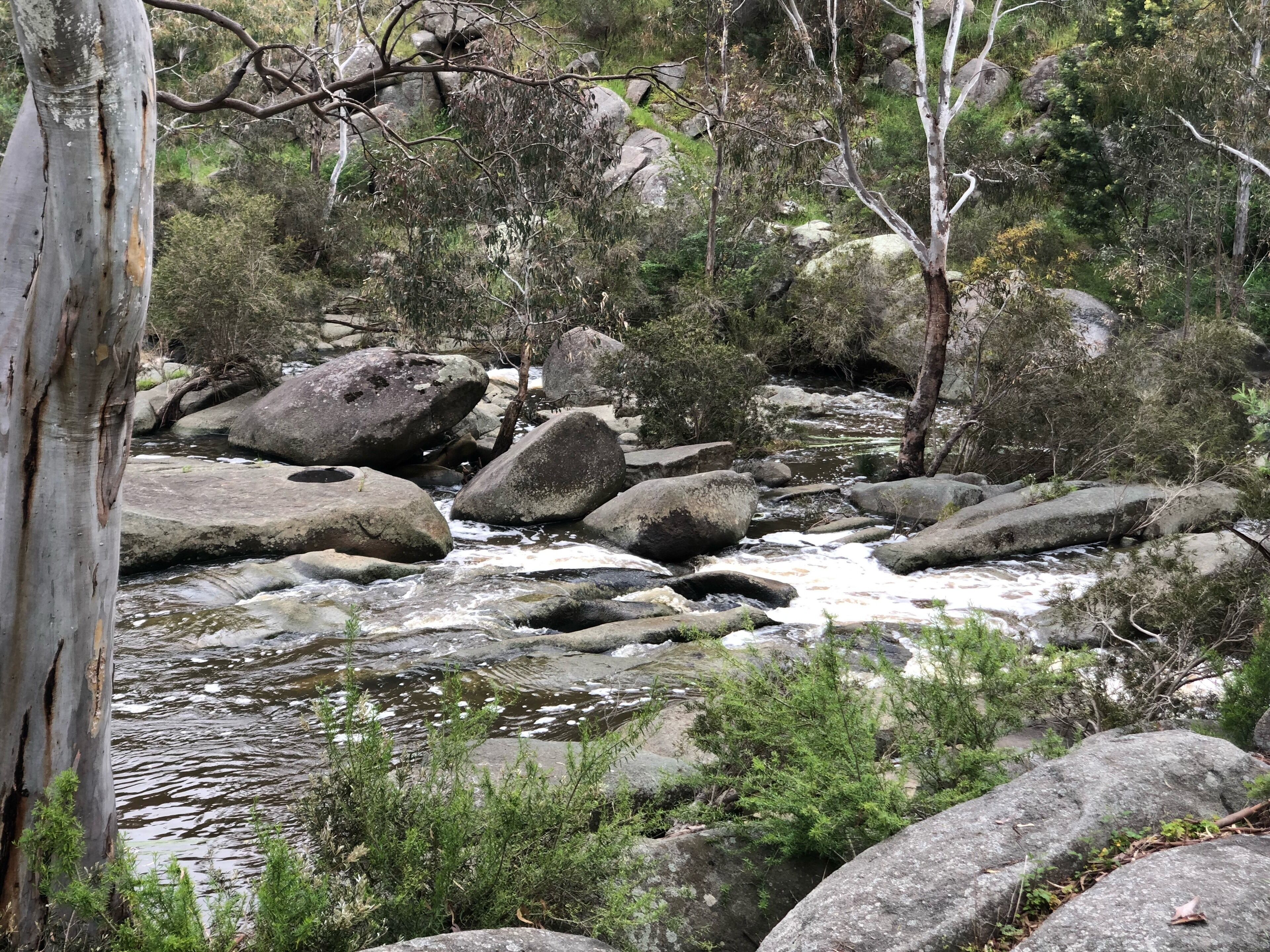 Country style by the cbd — image 12