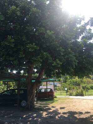 Área da propriedade