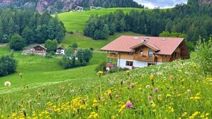 Een houten huis met een rood dak, omringd door een weelderig groen veld en wilde bloemen.