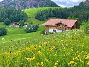 Esterni