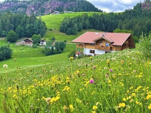 Esterni
