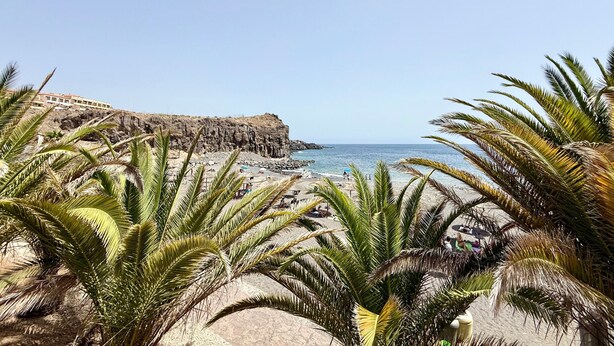 Una playa costera con acantilados rocosos, palmeras y cielo despejado.