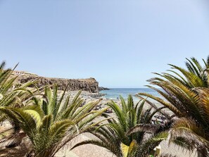 A coastal beach with rocky cliffs, palm trees, and a clear sky.
