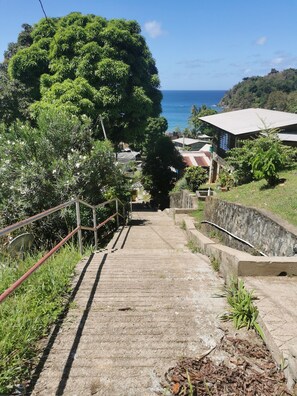 Property grounds - Mango Bottom Holiday Cottage (Castara)