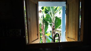 Een keuken met een houten raam, een spoelbak en uitzicht op een bananenboom.
