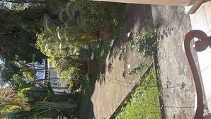A view of a garden area with a wooden bench, potted plants, and a stone wall. - Villa des Cymbidiums (Le Tampon)