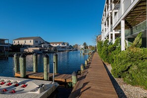 Unclassified image, 3 of 56, button