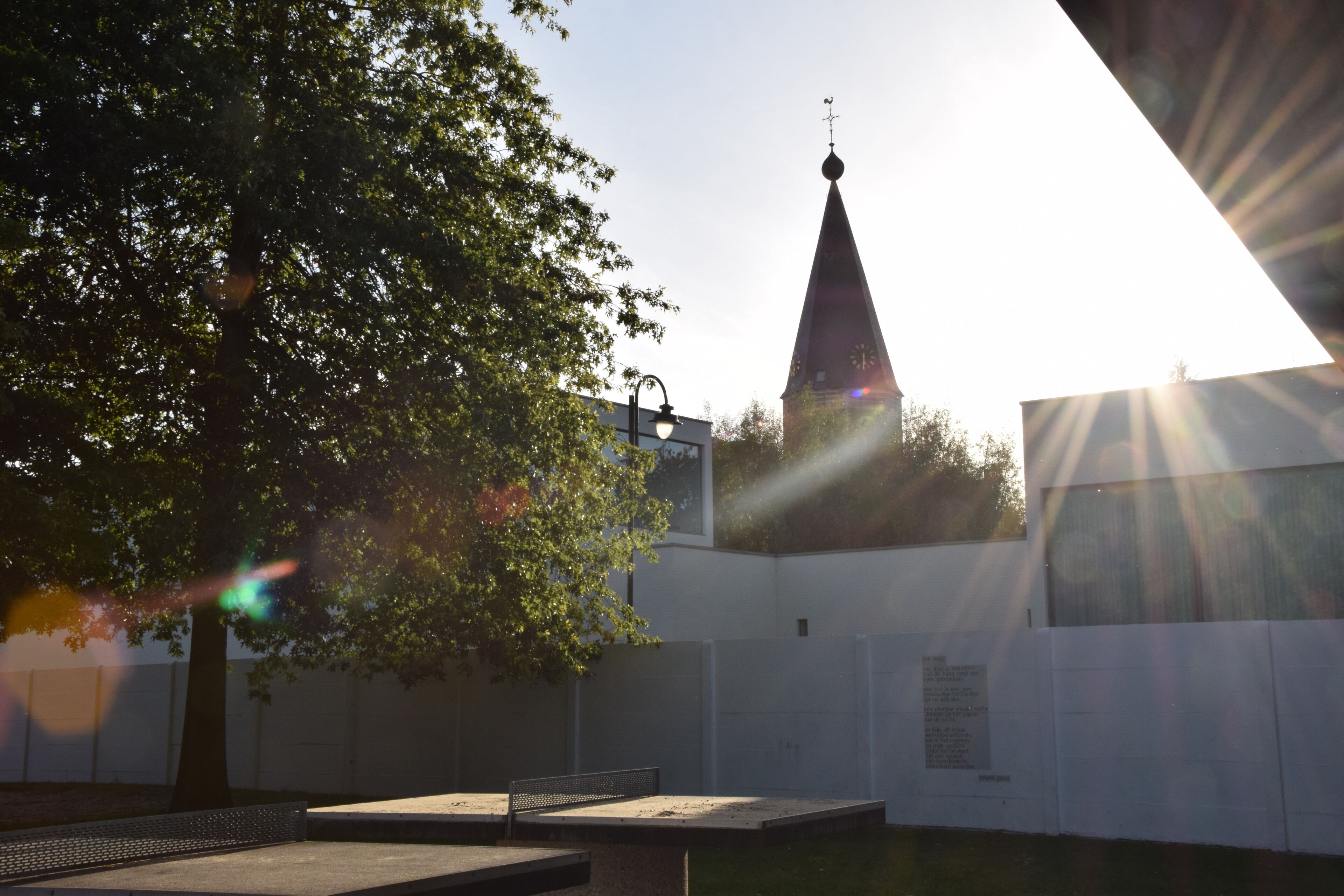 An outdoor area with a tree, a bench, and a building with a pointed roof.