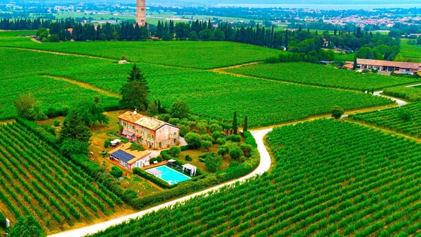 A large estate with a swimming pool, vineyard fields, and a tower in the distance.
