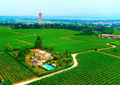 Historical overlooking Lake Garda Villa with private park and swimming pool.