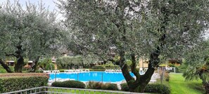 Pool - Lella's house in residence with pool (Paratico)