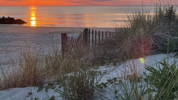 Une scène de plage avec une clôture en bois et des dunes de sable.