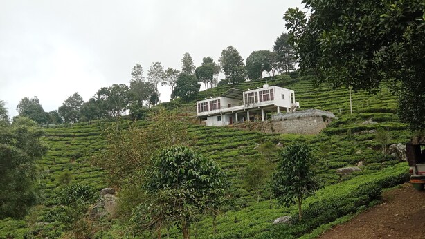 A white building with a balcony on a hillside, surrounded by lush green tea plantations.