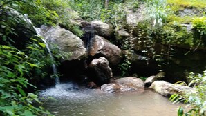 A natural water feature with a small waterfall, surrounded by rocks and greenery.