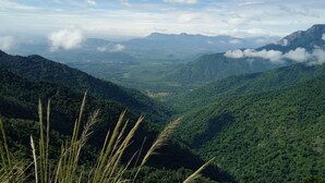 A mountainous landscape with dense green forests and a valley below.
