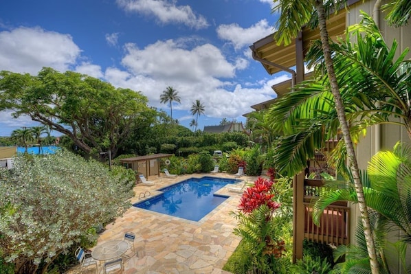 A backyard with a swimming pool, surrounded by tropical plants and a wooden deck.
