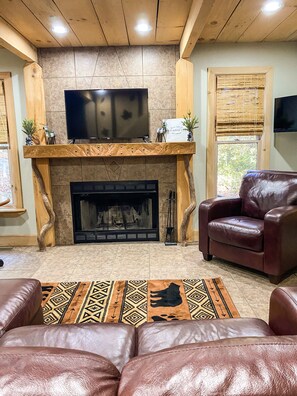 TV connectée, cheminée, lecteur de DVD, livres