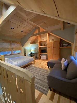 Smart TV, fireplace, DVD player, books