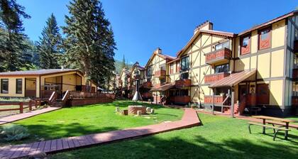 Condo in the mountains!