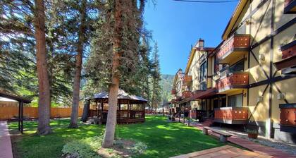 Condo in the mountains!