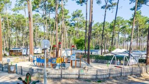 Ein Spielplatz mit verschiedenen Spielgeräten, umgeben von hohen Bäumen und einem eingezäunten Bereich.