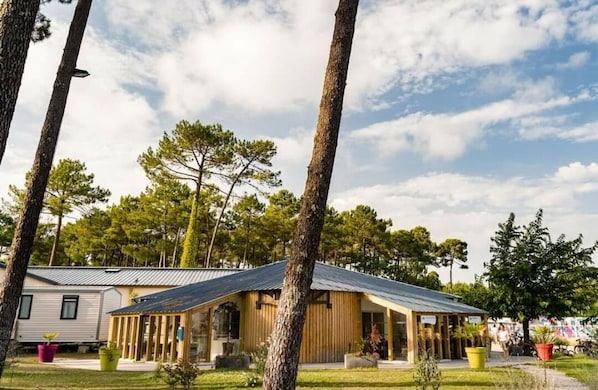 A modern mobile home with a metal roof and wooden exterior, surrounded by trees and a grassy area.