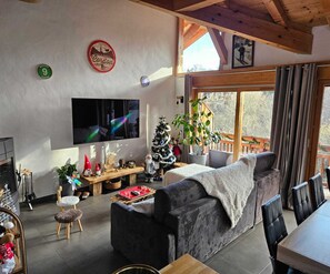 Smart TV, fireplace, books
