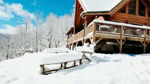 Exterior - BABY BEAR’S CABIN, REAL LOG CABIN, SPECTACULAR VIEWS, HOT TUB, FIRE PIT (Maggie Valley)