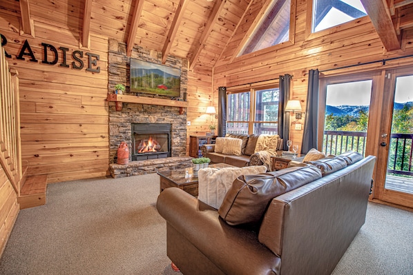 Smart TV, fireplace, books