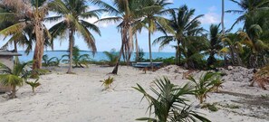 Playa en los alrededores, camastros y toallas de playa 