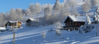 "Racourche 88 "Charming 6-person apartment in La Bresse (Vosges)