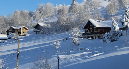 "Racourche 88"Charmant appartement 6 personnes Ă La Bresse (Vosges)