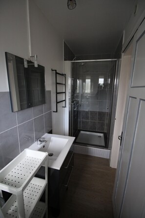 Shower, hair dryer, toilet paper - "Racourche 88 "Charming 6-person apartment in La Bresse (Vosges) (La Bresse)