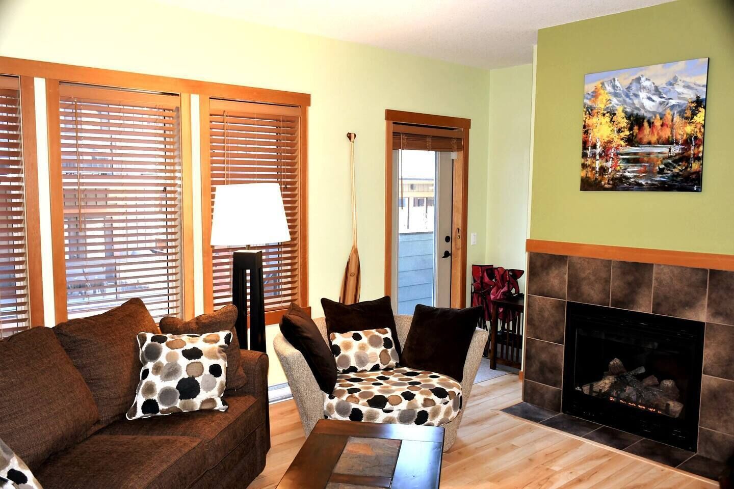 TV connectée, cheminée, lecteur de DVD, livres