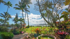 Property grounds - Lae Nani 514  Only a few steps to the Beach! (Kapaʻa)