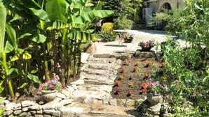 Eine Steintreppe führt zu einem Garten mit Blumentöpfen und einem Gebäude mit einem Ziegeldach im Hintergrund.