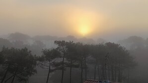 A foggy landscape with trees and a building in the foreground. - Oceanfront studio above the pines (Seignosse)